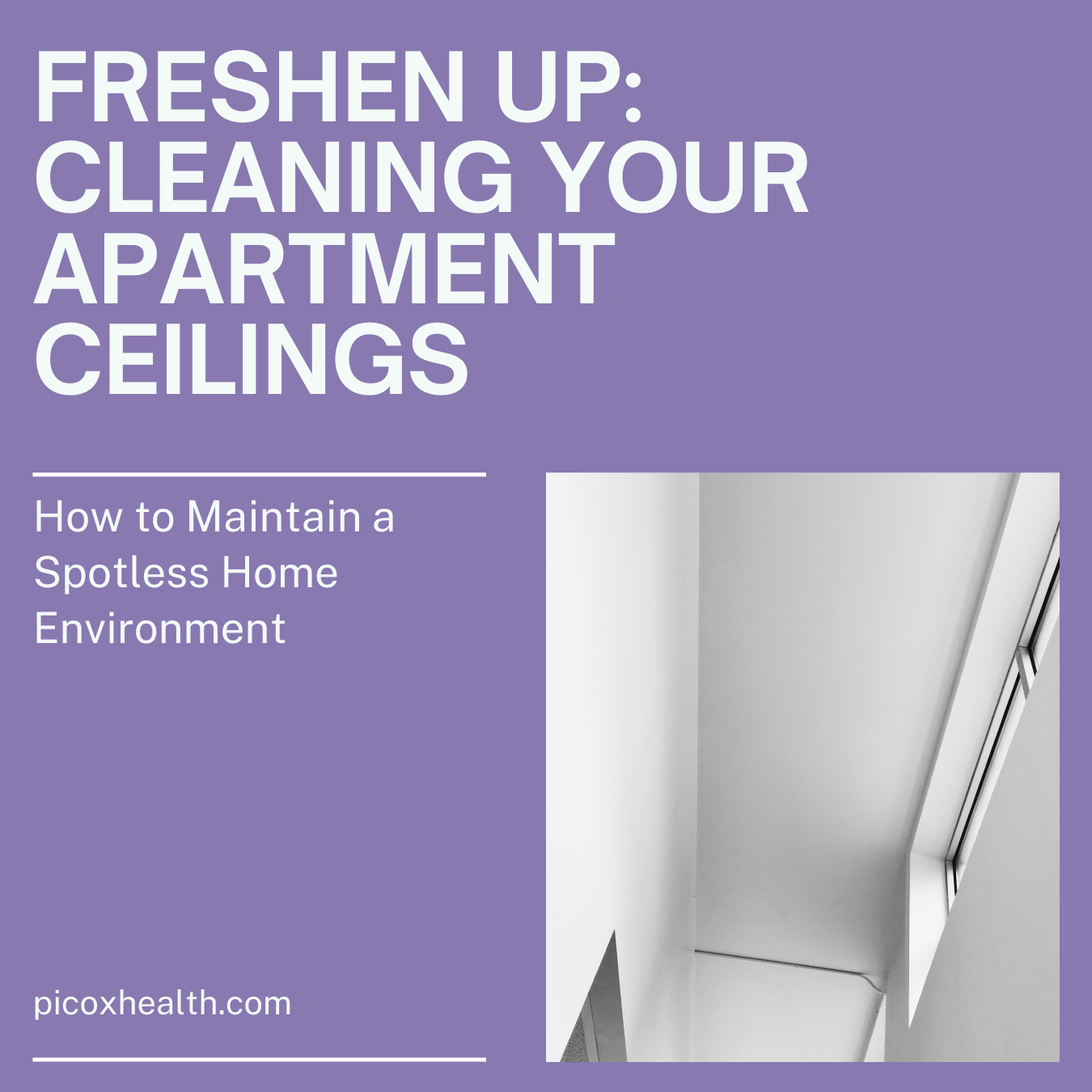 How to keep your ceiling looking new and mould-free.