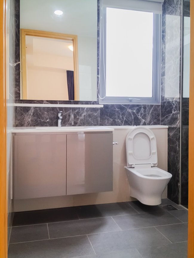 Pico X Toilet odour elimination