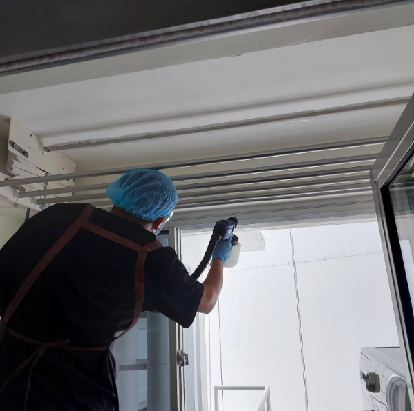 pico x mould eradication