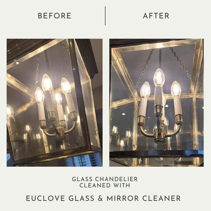 Euclove All Natural Glass & Mirror Cleaner Pico X 