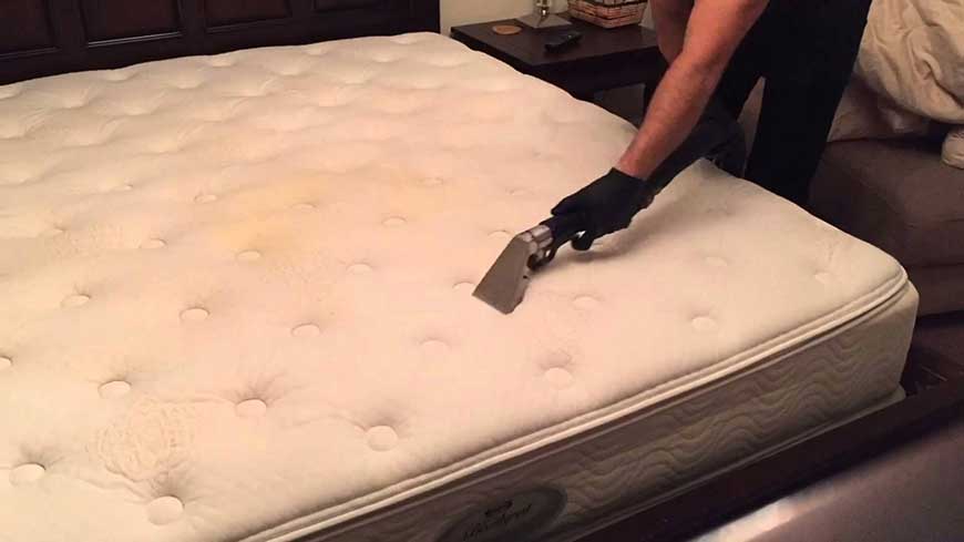 Clean, Steam and Protect Your Sofa, Curtains and Mattresses Pico X 