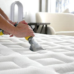 Clean, Steam and Protect Your Sofa, Curtains and Mattresses Pico X 