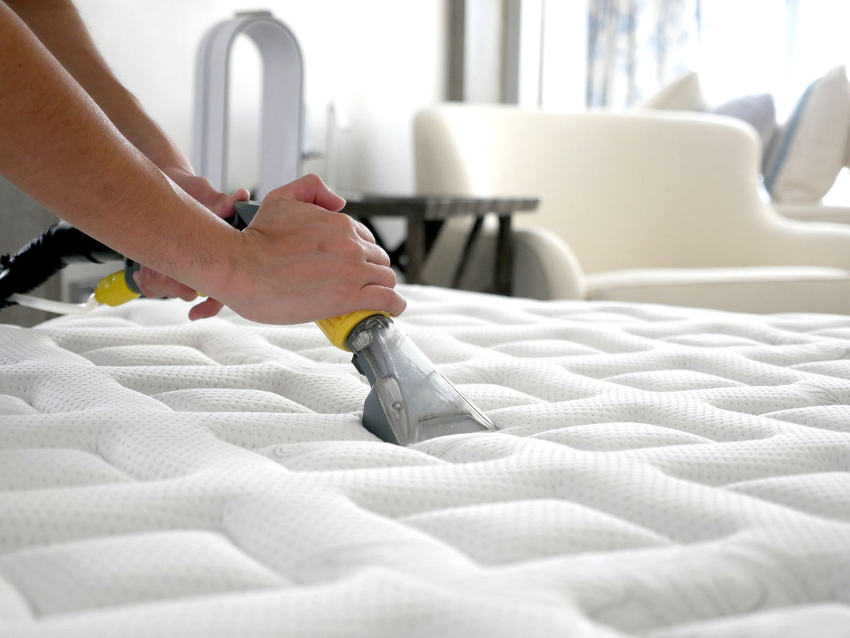 Clean, Steam and Protect Your Sofa, Curtains and Mattresses Pico X 