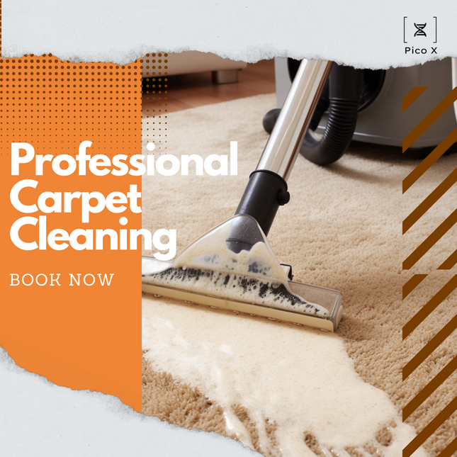 Professional Carpet Cleaning Pico X 