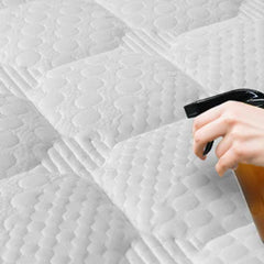 Clean, Steam and Protect Your Sofa, Curtains and Mattresses Pico X 